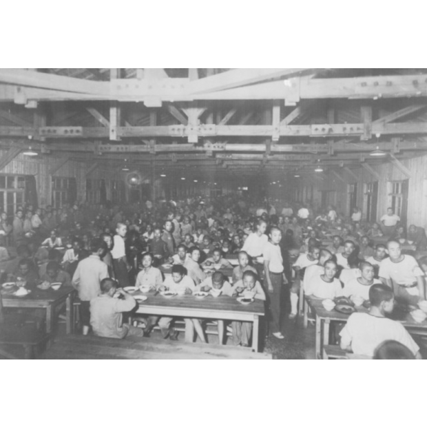  2025-08-13 123152.png