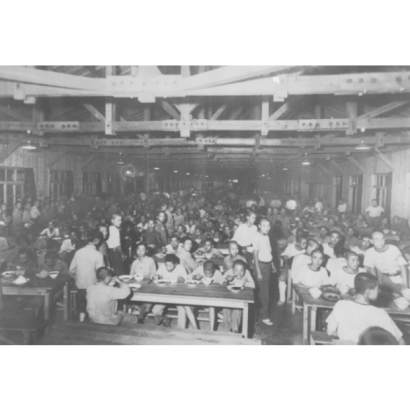  2025-08-13 123152.png